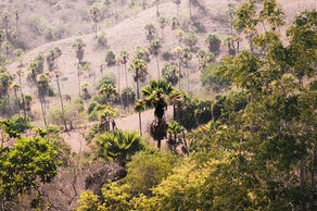 Viaje organizado a Indonesia. PouTravel agencia de viajes 100% a medida. Contáctanos al 93 414 16 06. Conocemos los destinos en primera persona. Descubre los lugares más fascinantes del momento. Encuentra los destinos más exclusivos y de moda del momento. Viajes de lujo y Trato VIP. La mejor selección hotelera. Bali, Java, Borobudur y Prambanan, Islas Gili,  Komodo, Raja Ampat, Volcán Bromo, The Oberoi Lombok, Alila Purnama, Six Senses Uluwatu, Bawah Private Island, Four Seasons Bali, Amankila.