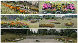 МБУК "НТГПКиО им. А.П.Бондина"