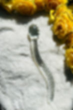 Glass Yoni Wand