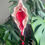 Thumbnail: 'Reclaiming Her Sacred Blood' Yoni Sculpture