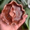Thumbnail: 'Cosmic Love' Yoni Jewelry Dish