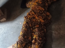 बुलंदशहर: चॉकलेट विवाद में पिता ने 12 साल की बेटी की पीट-पीटकर हत्या, आरोपी फरार