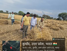 जालौन में ओलावृष्टि का कहर: फसलें बर्बाद, मुआवजे की आस में किसान