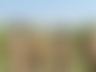 बिजनौर पुलिस की कार्रवाई: नूरपुर में नाबालिग से दुष्कर्म के मामले में तीन गिरफ्तार