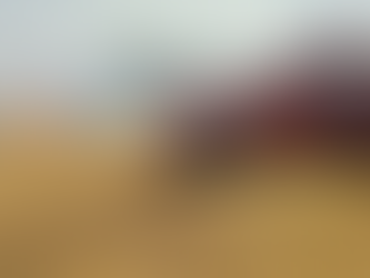 झांसी के पूंछ क्षेत्र में खेतों में भीषण आग, गेहूं की फसल जलकर खाक