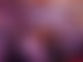 झांसी में एआईएमआईएम की महानगर कार्यकारिणी का भव्य गठन, सैकड़ों ने ली सदस्यता