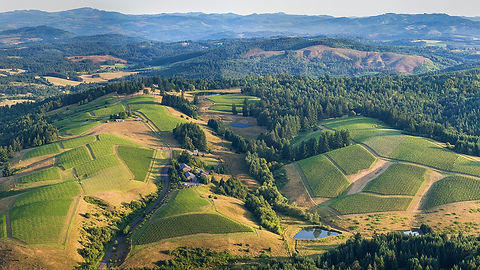 willakenzie estate stock photo.jpg