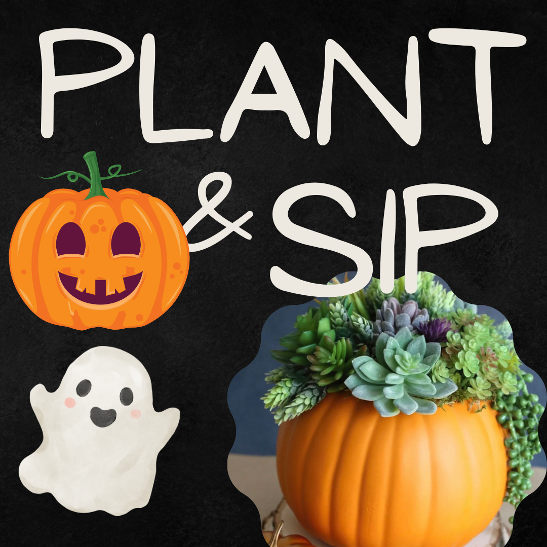 plant-sip-pc-pour