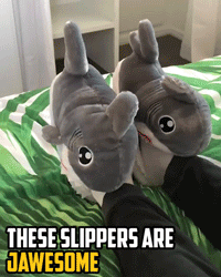 Thumbnail: HUNGRY SHARK SLIPPERS