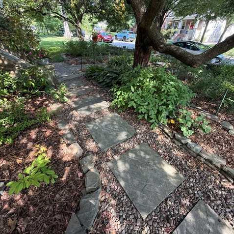 No Lawn!