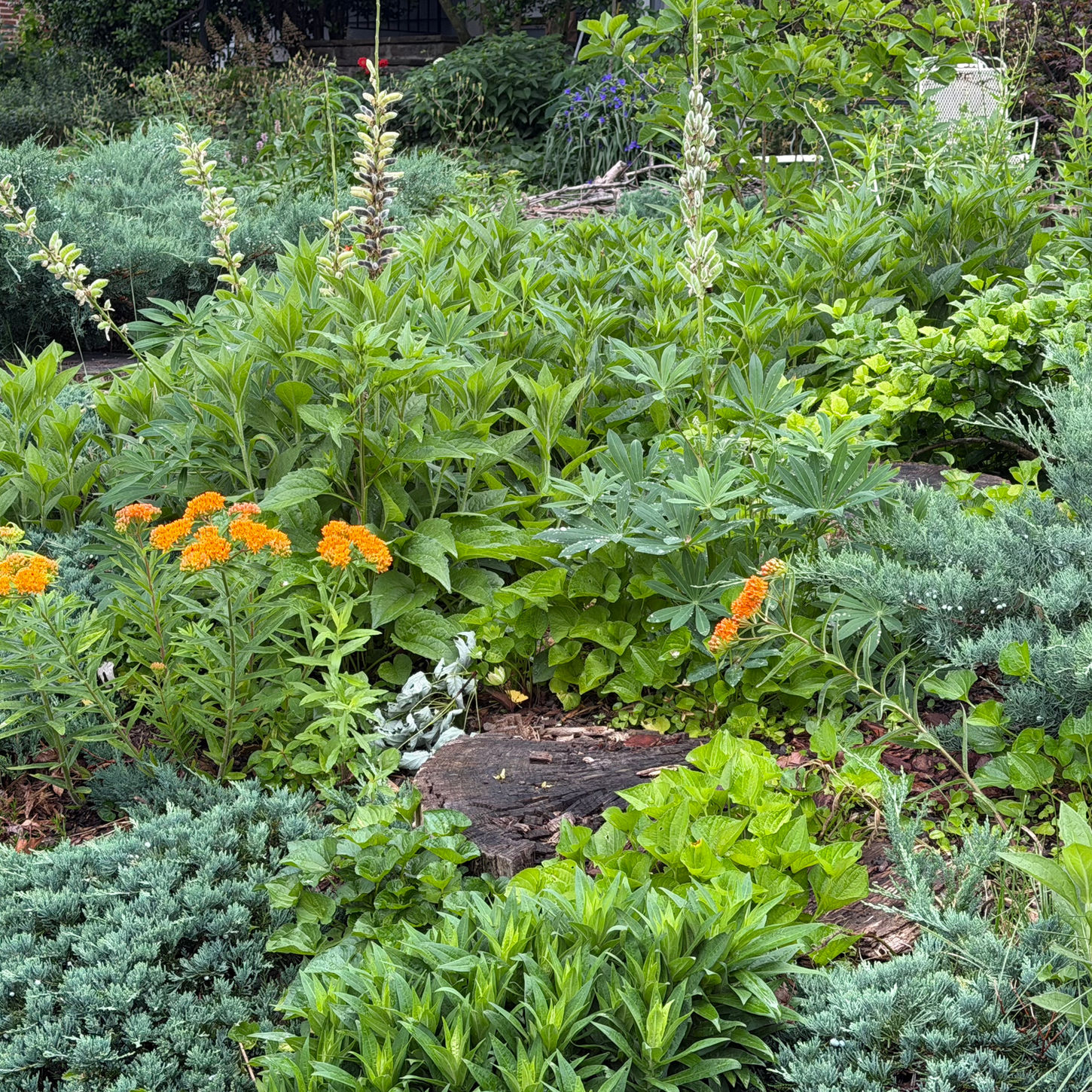 Front Slope