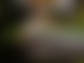 Zeitlose Eleganz – Immobilienvideografie für besondere Villen
