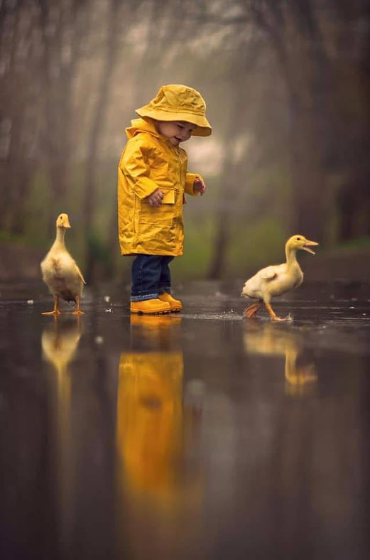 Professionelle Maklerdienstleistungen für Immobilien, Versicherungen und Finanzen Профессиональные маклерские услуги