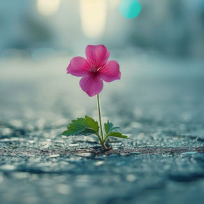 Creating a Self-Compassion Ritual: Daily Practices to Nurture Yourself