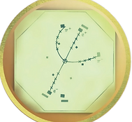 A charm quark called psi in a gold circle is the logo of psych n stats tutor