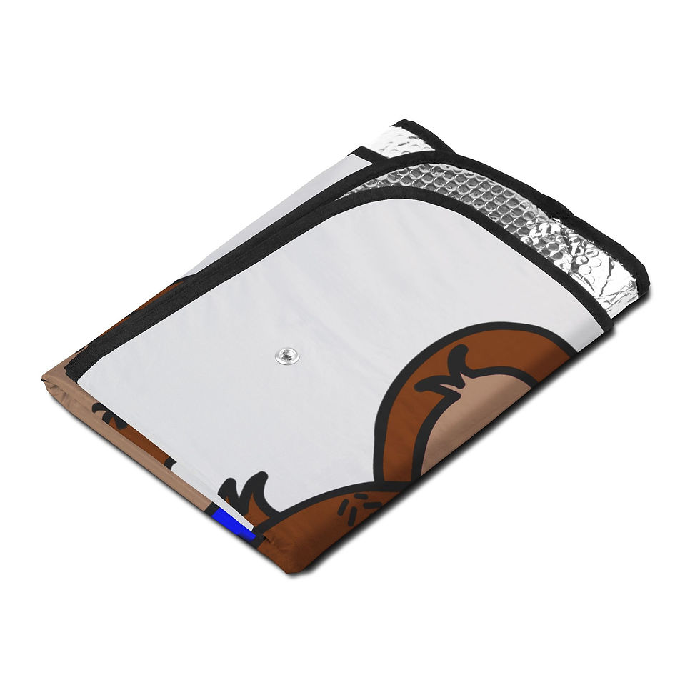 Thumbnail: Car Sun Shades