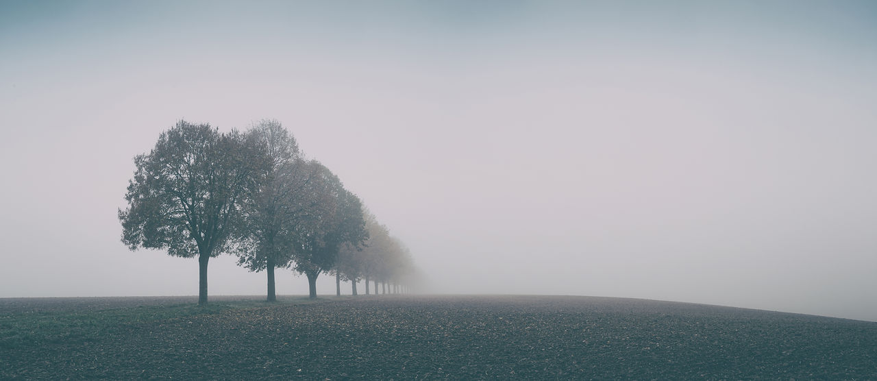 Books on Child Loss