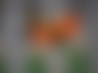 Signs that you are a greenhouse fanatic