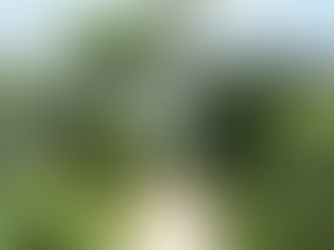 5 Reasons why to choose a Keder Greenhouse