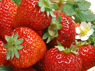 The Benefits of Growing your Own