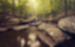 thumb-1920-1357214.jpeg
