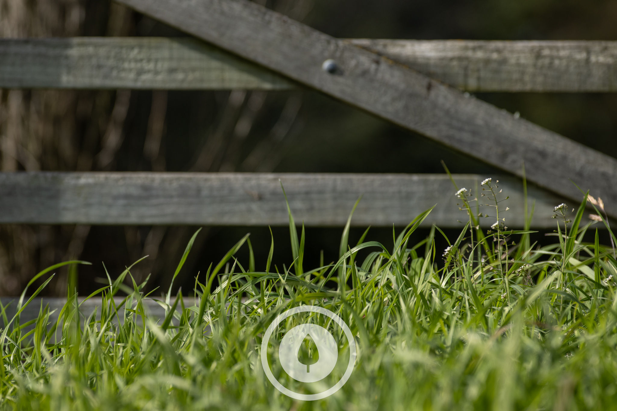 Pasture at Gate's Latch