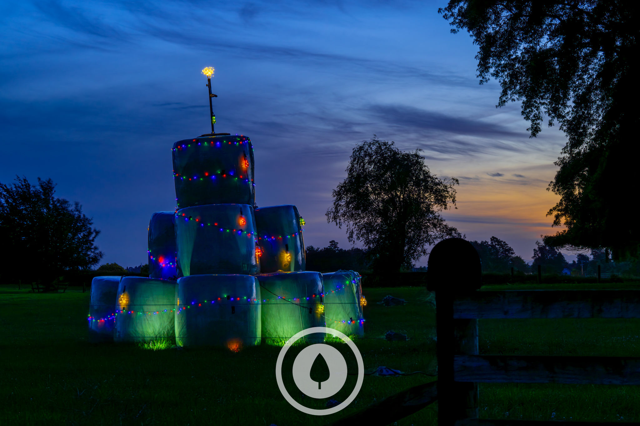 Baleage Christmas Tree