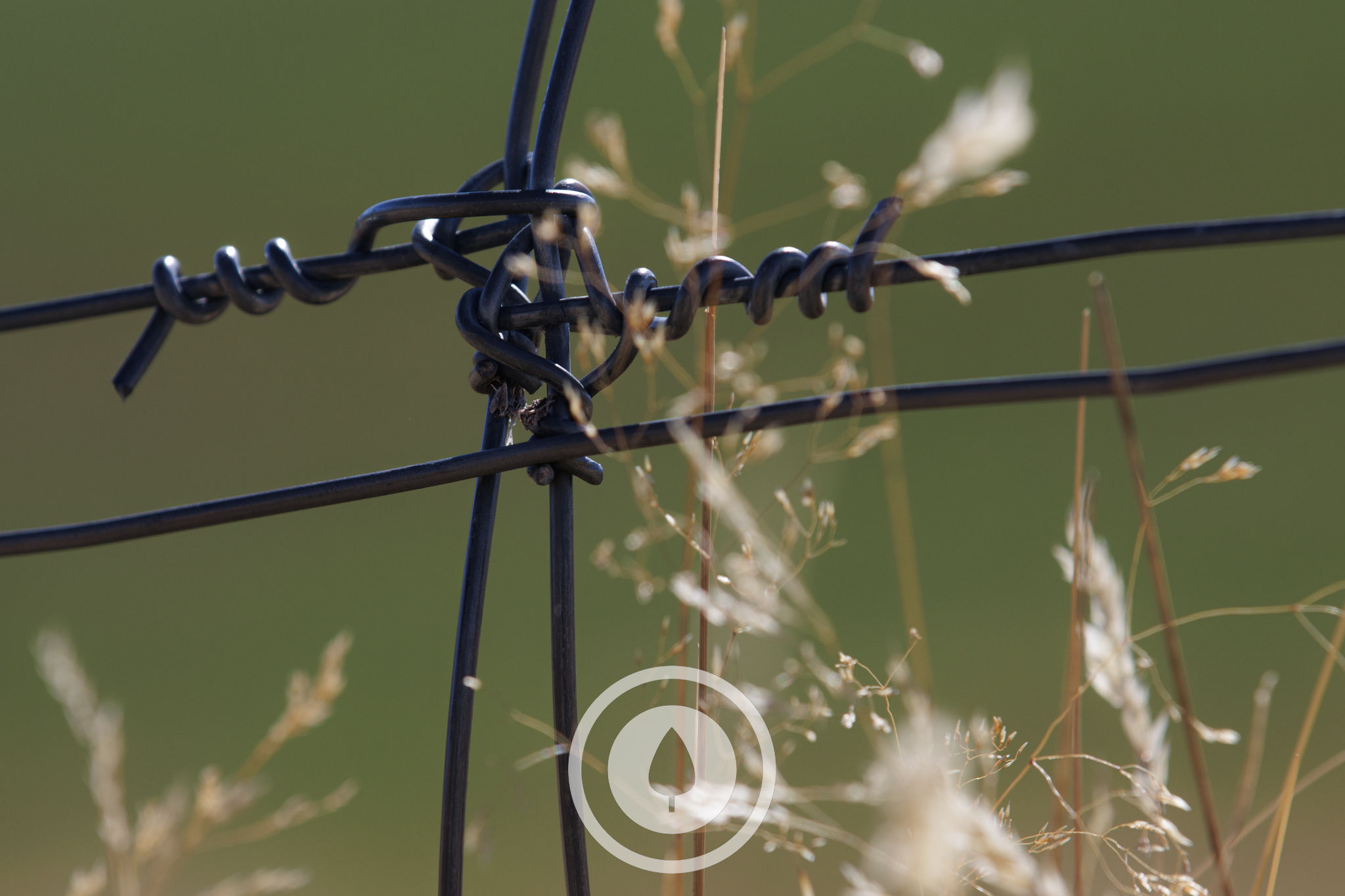 Canterbury Fence Knots
