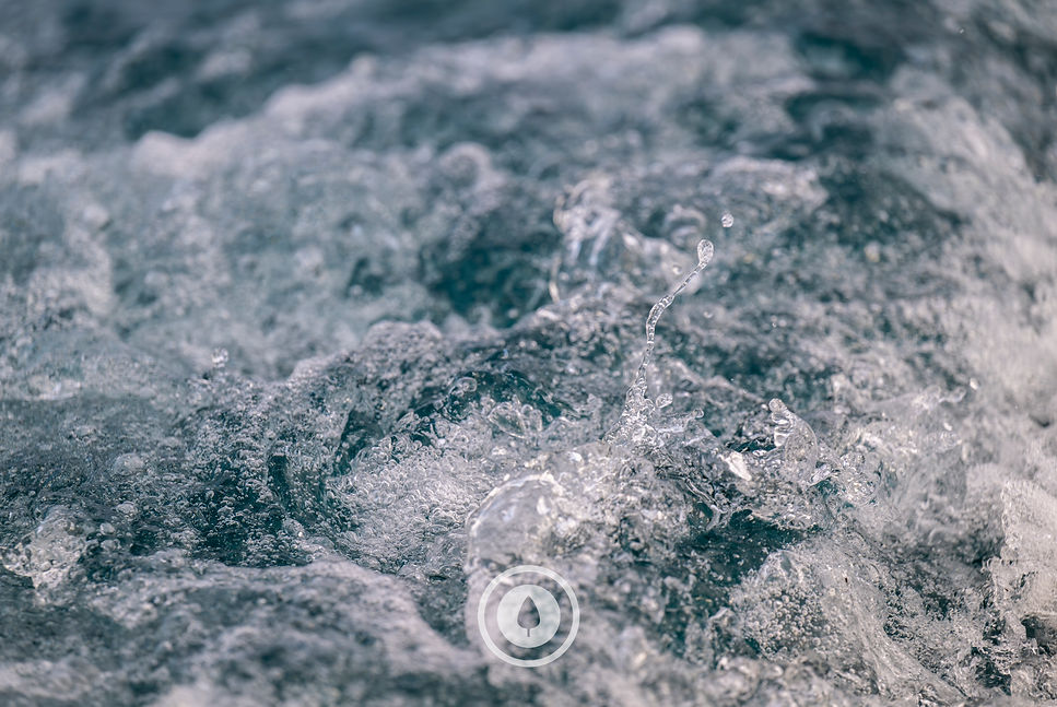 In your Wake