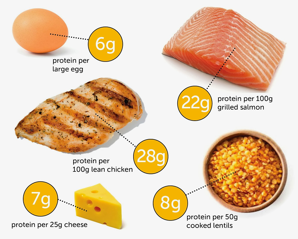 Boost Your Weight Loss With Protein How much protein should you eat per meal? the healthy queen movement