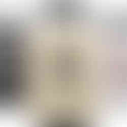 Ancestral Supplements Starter Pack, Grass Fed Beef Liver Capsules, Organ Capsules, Bone and Marrow Capsules, Non-GMO