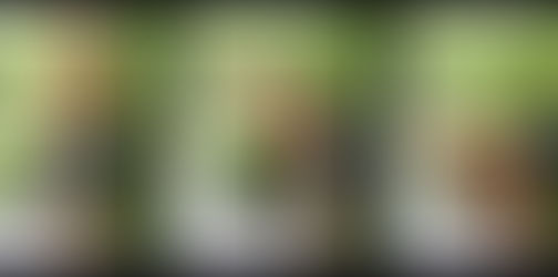 The Truth About Chiropractic: Unleashing Peak Athletic Performance