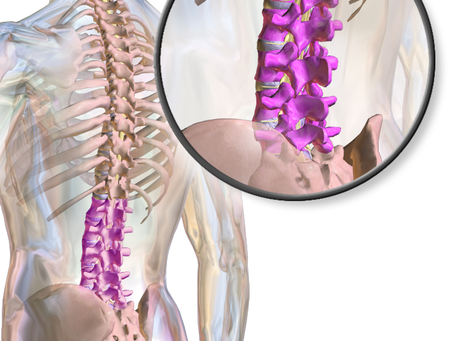 The Importance of Proper Spinal Alignment for Performance