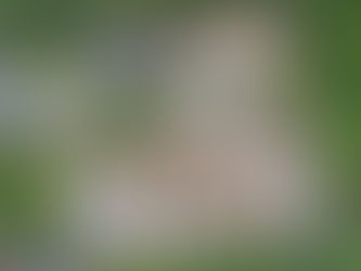 Understanding Site Abnormals: How Land Vendors Can Maximise Value