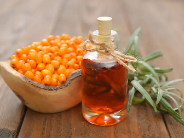 Sanndorn als Saft oder Beeren als gute Vitamin C Quelle 