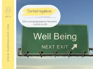 Blogtitelbild Strassenschild mit der Überschrift Well being next exit 