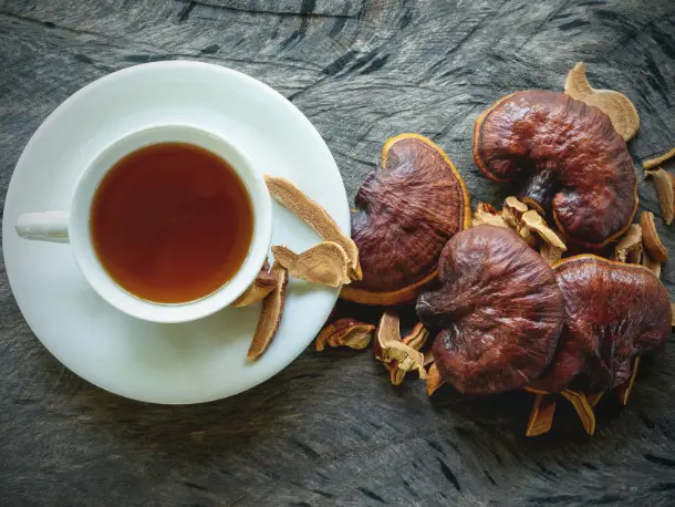 Reishi Pilze und Reishi Tee