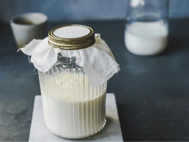Probiotische Lebensmittel Milchkefir 