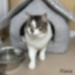 Fiona