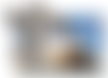 AXIS Explosion-Protected Cameras