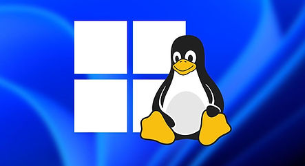Windows & Linux.jpeg