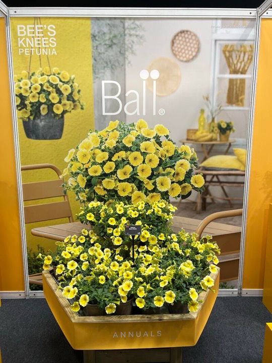 Ball Exhibition Stand National Plant Show - design and print