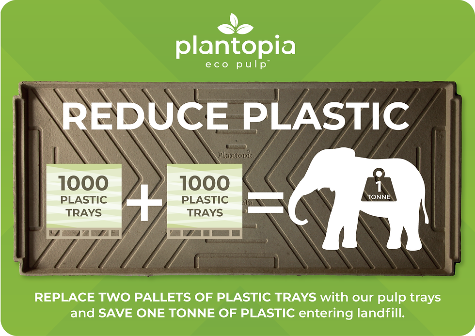 Turn One Tonne of Plastic Waste into Zero: Switch to Plantopia’s Paper Pulp Trays