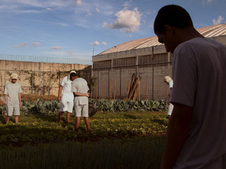 Vinte Vinte Quatro (Davi Pieri, 2026) - Mostra Brasília de Curta-metragens | 59º Festival de Brasília do Cinema Brasileiro