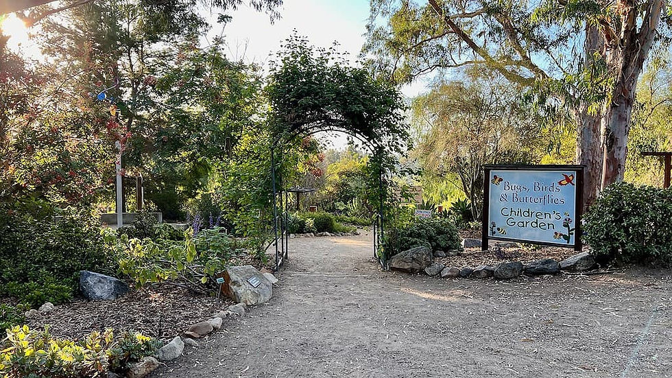 Lets Play and Explore- Alta Vista Gardens