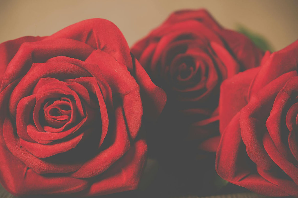 pexels-nietjuh-776650.jpg