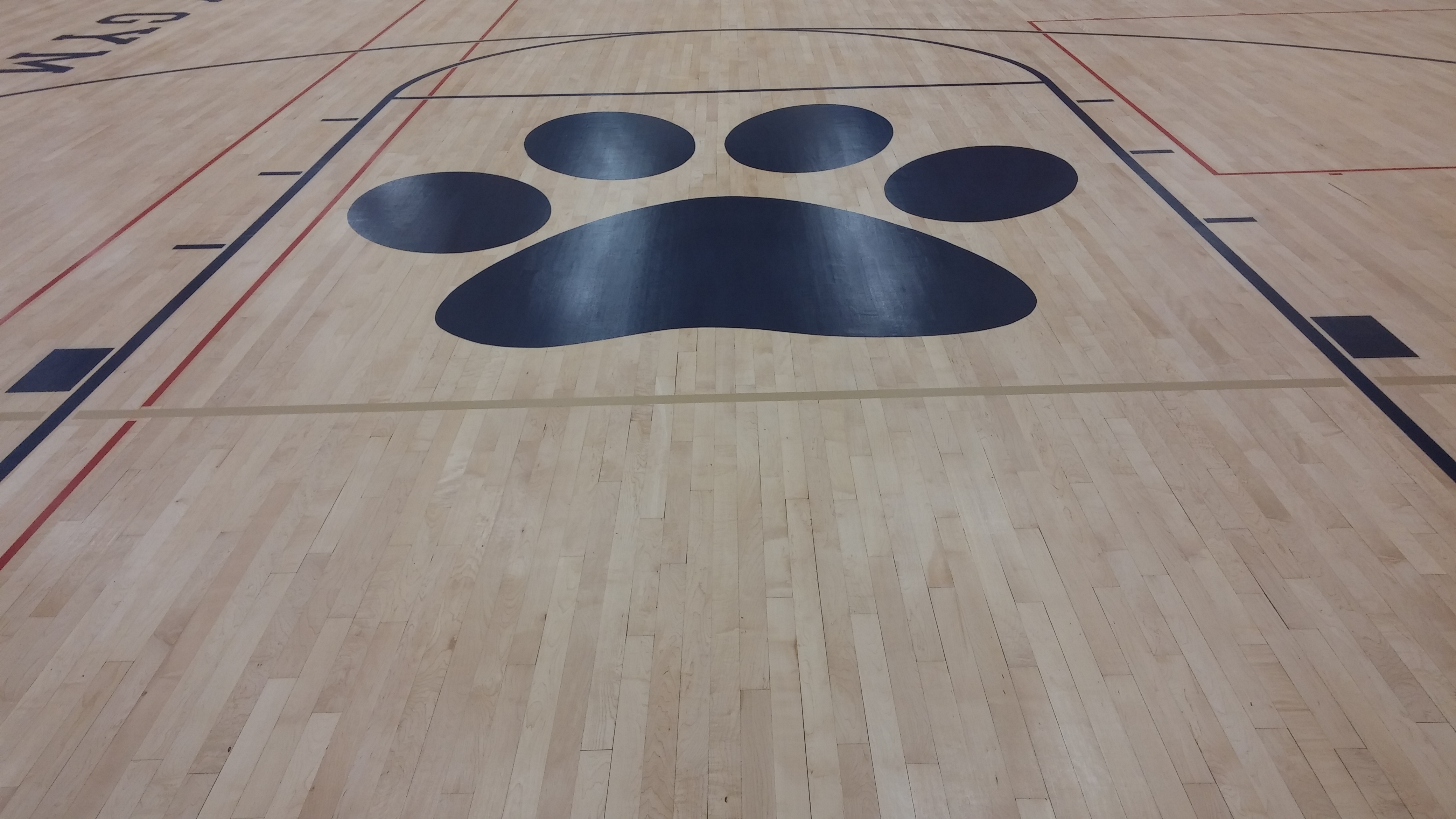 Logo - Paw.JPG