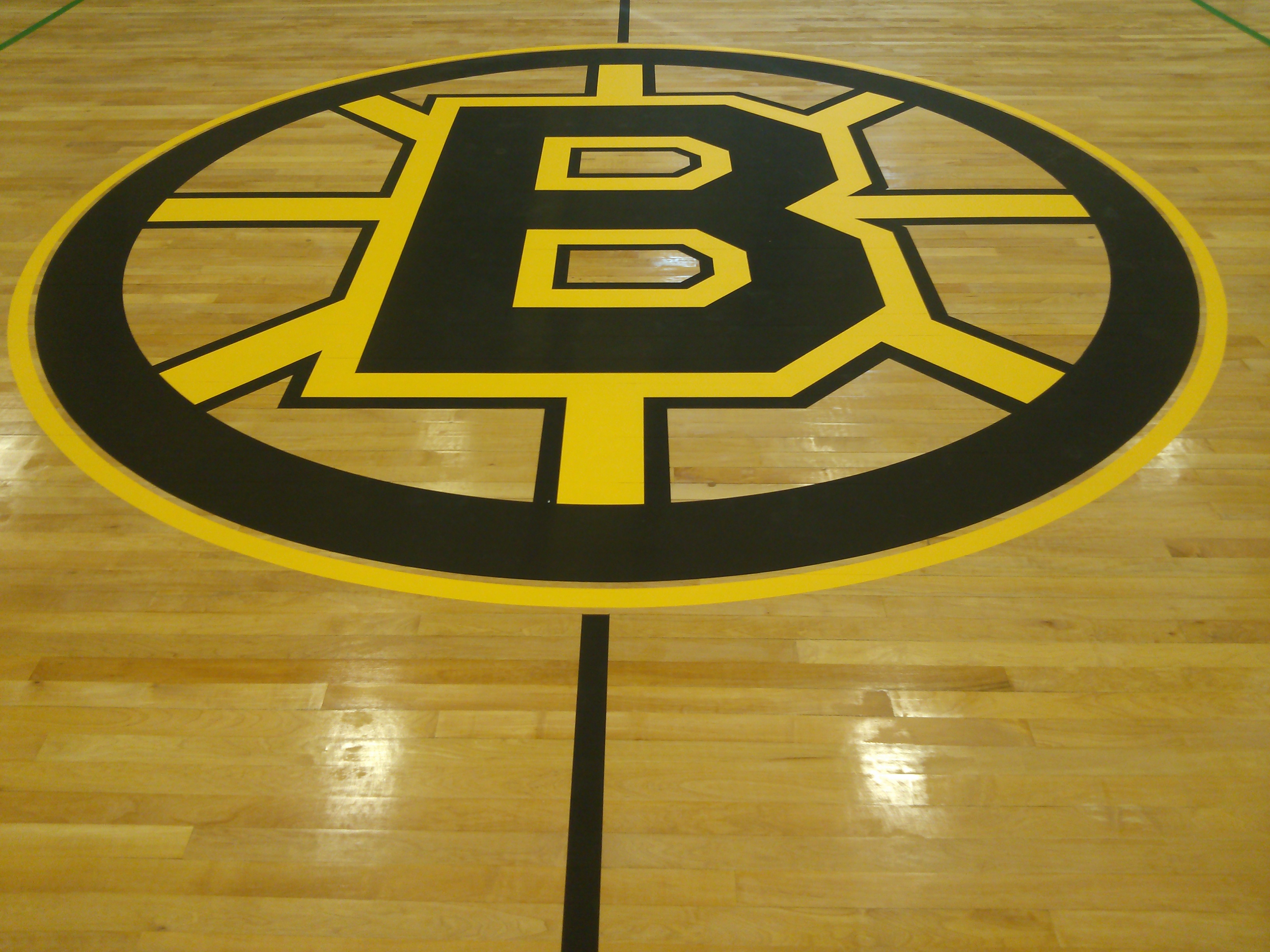 Logo - Boston Bruins.JPG