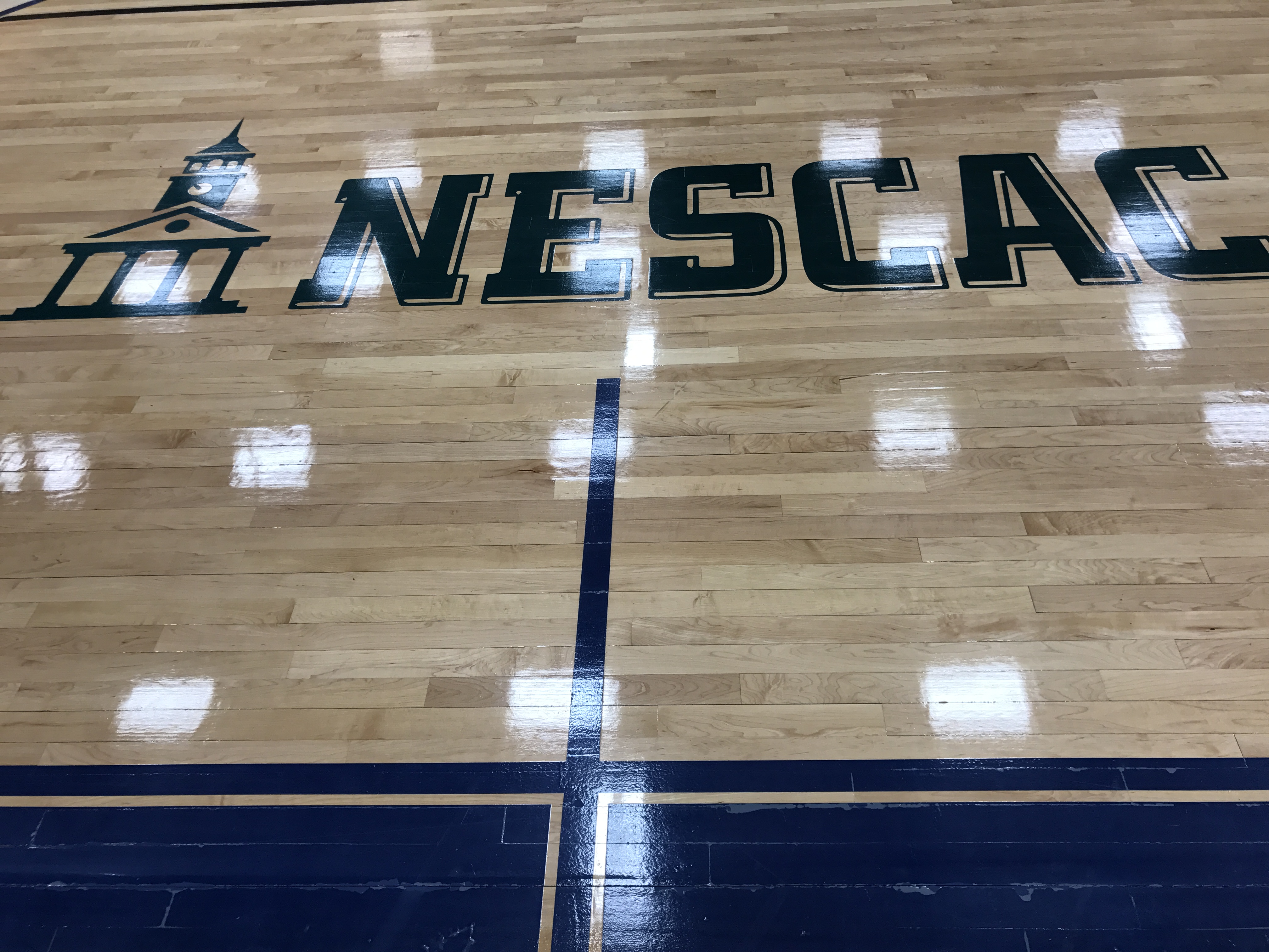 Logo - NESCAC.JPG