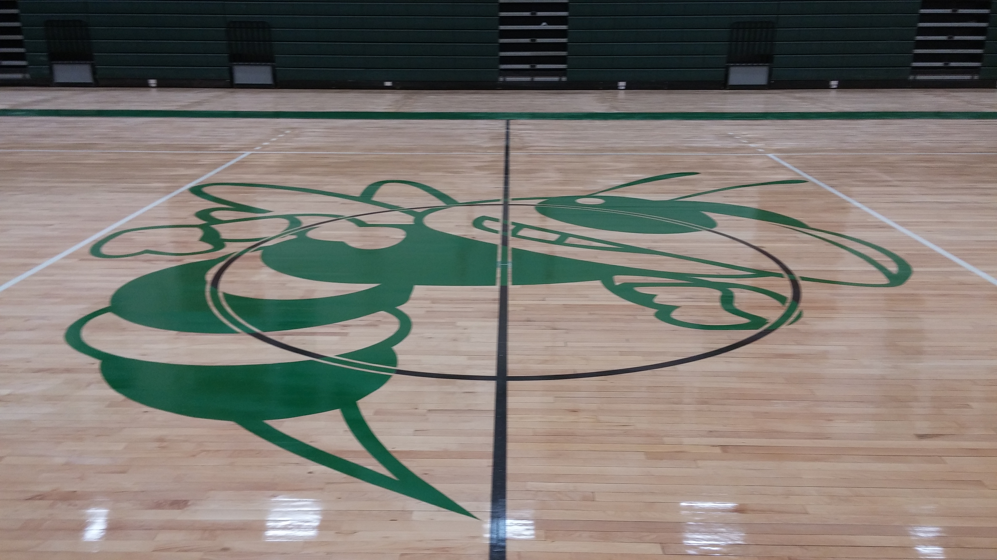 Logo - Hornets - Mansfield High School - Mansfield MA.JPG